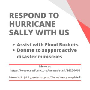 This image lists ways to respond to Hurricane Sally